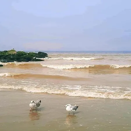 Lejlighed Bright Coastal Family Escape De Panne