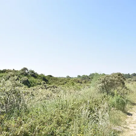 Lejlighed Bright Coastal Family Escape De Panne